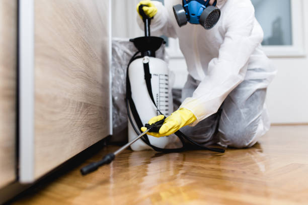 Best Best Pest Control Companies  in Verdigris, OK