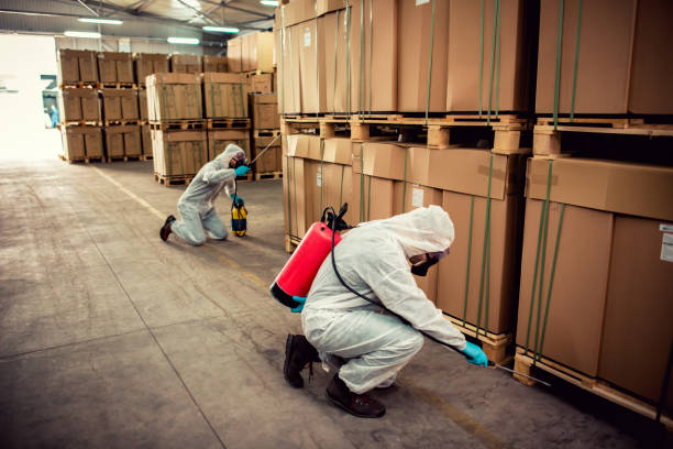 Best Exterminator Services  in Verdigris, OK