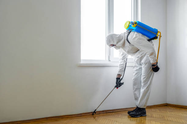 Trusted Verdigris, OK Pest Control Experts