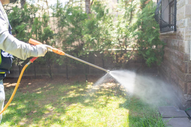 Best Insect Control  in Verdigris, OK