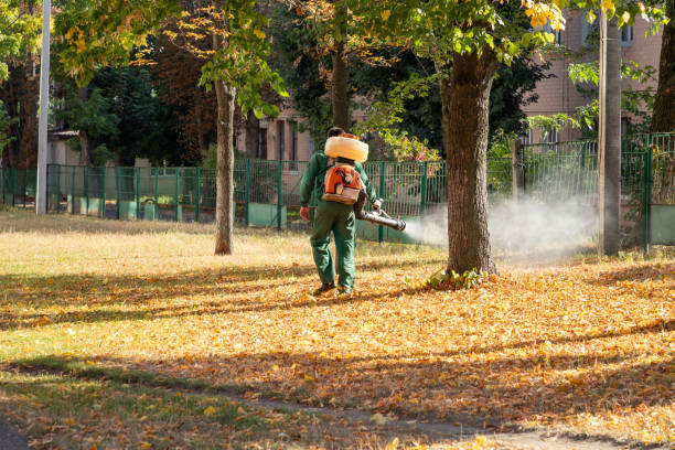Best Affordable Pest Control Services  in Verdigris, OK